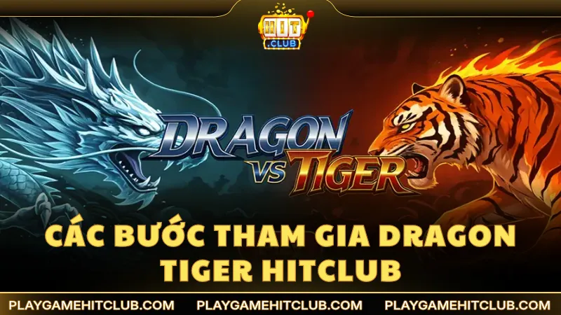 Các bước tham gia đặt cược Dragon Tiger tại HitClub